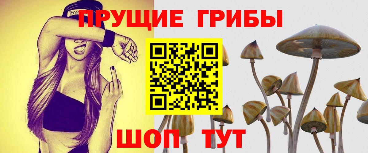 Галлюциногенные грибы мицелий Менделеевск