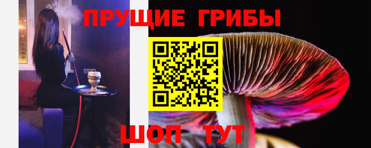 Менделеевск  Галлюциногенные грибы прущие грибы  Вход с VPN 